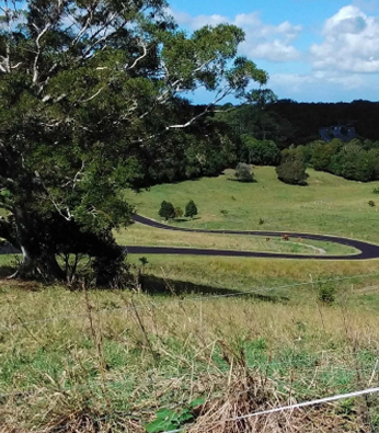 Long sealed driveway through bushland